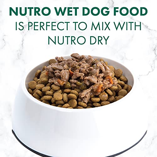 NUTRO Adult High Protein Natural Grain Free Wet Dog Food Cuts in ...