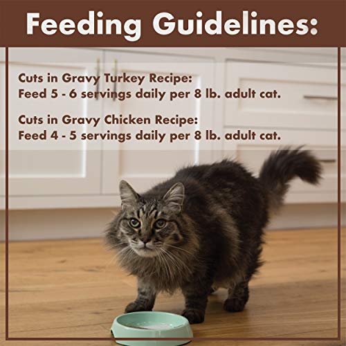 NUTRO Grain Free Natural Soft Wet Cat Food Cuts in Gravy Beef Rec...