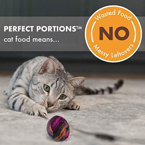 NUTRO Grain Free Natural Soft Wet Cat Food Cuts in Gravy Beef Rec...