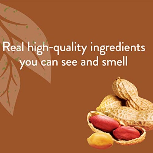 NUTRO Small Crunchy Natural Dog Treats with Real Peanut Butter, 1...