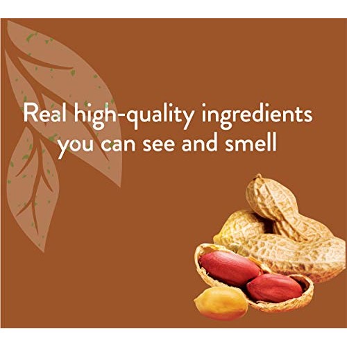 NUTRO Small Crunchy Natural Dog Treats with Real Peanut Butter, 1...