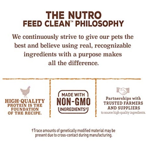 NUTRO Small Crunchy Natural Dog Treats with Real Peanut Butter, 1...
