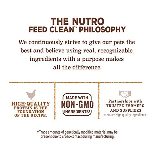 NUTRO Small Crunchy Natural Dog Treats with Real Peanut Butter, 1...