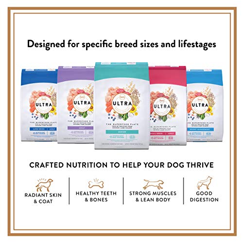 NUTRO ULTRA Senior High Protein Natural Dry Dog Food with a Trio ...