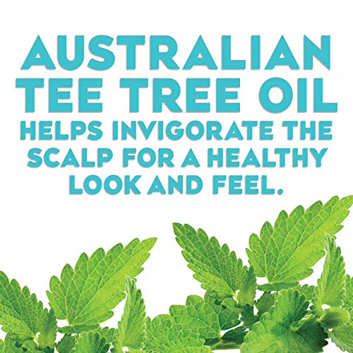 OGX Hydrating + Tea Tree Mint Conditioner, Nourishing & Invigorat...