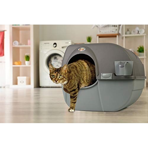 Omega Paw NRA15 Self Cleaning Litter Box Regular Size