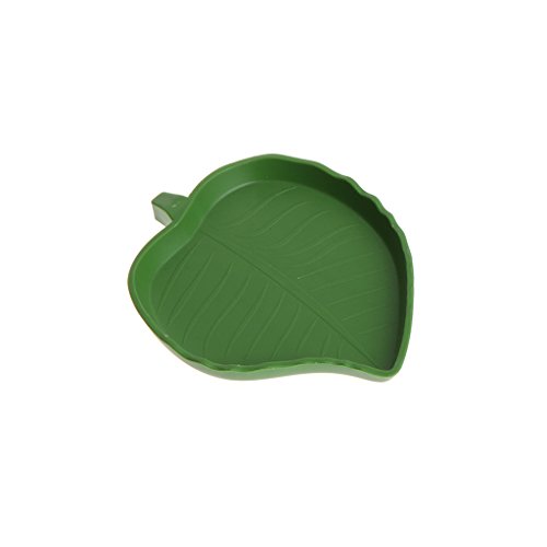 Onpiece New Reptile Water Food Dish Bowl Plastic Gecko Meal Worm ...