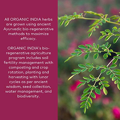 Organic India Gotu Kola Herbal Supplement - Adaptogen for Brain &...
