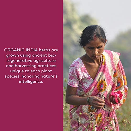 Organic India Gotu Kola Herbal Supplement - Adaptogen for Brain &...