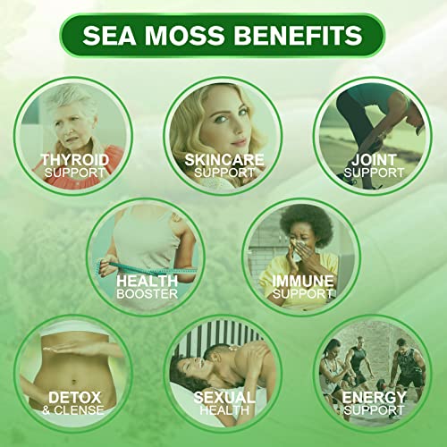 ORGMAX Organic Sea Moss 3000MG Capsules, Bladderwrack | Burdock R...