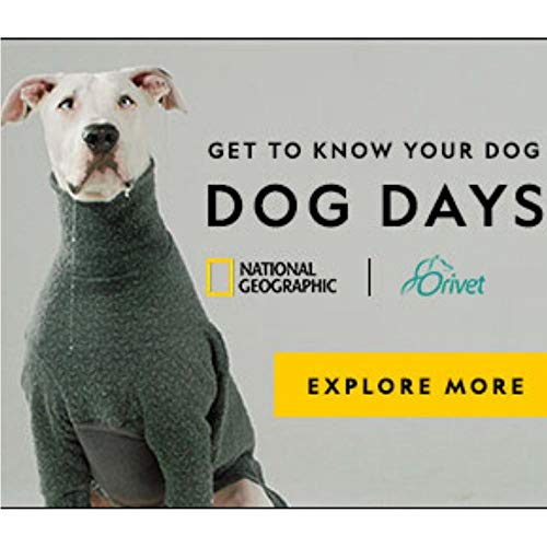 ORIVET Dog DNA Test | Comprehensive Dog Breed Test Kit, Genetic T...