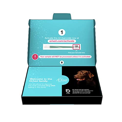 ORIVET Dog DNA Test | Comprehensive Dog Breed Test Kit, Genetic T...