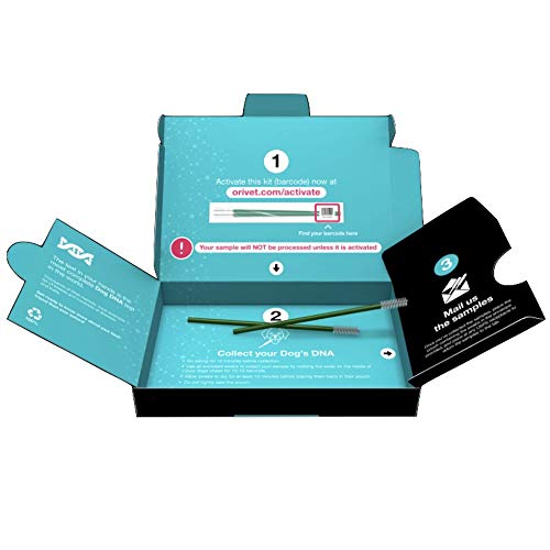 ORIVET Dog DNA Test | Comprehensive Dog Breed Test Kit, Genetic T...