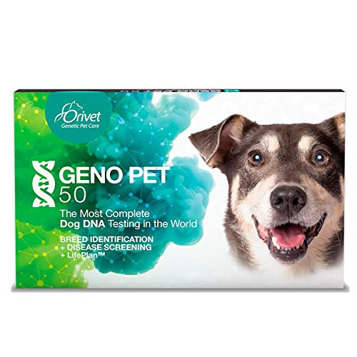 ORIVET Dog DNA Test | Comprehensive Dog Breed Test Kit, Genetic T...