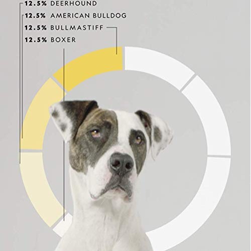 ORIVET Dog DNA Test | Comprehensive Dog Breed Test Kit, Genetic T...