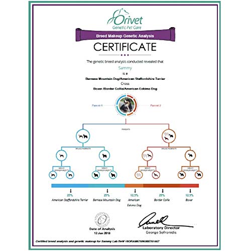 ORIVET Dog DNA Test | Comprehensive Dog Breed Test Kit, Genetic T...