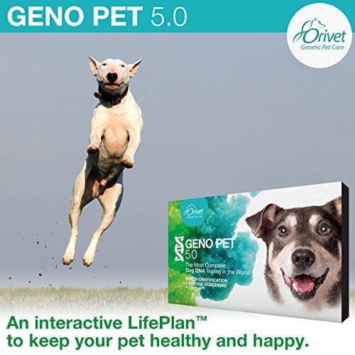 ORIVET Dog DNA Test | Comprehensive Dog Breed Test Kit, Genetic T...