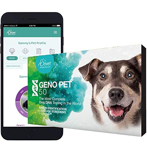 ORIVET Dog DNA Test | Comprehensive Dog Breed Test Kit, Genetic T...