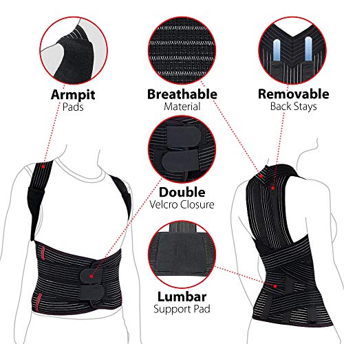 ORTONYX Full Back Support Brace with Removable Dorso-lumbar Pad -...