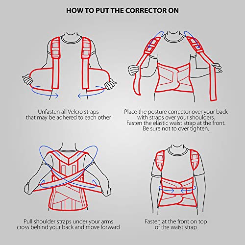 ORTONYX Full Back Support Brace with Removable Dorso-lumbar Pad -...