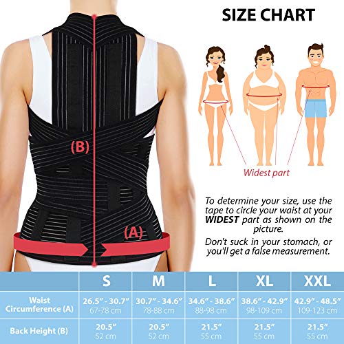 ORTONYX Full Back Support Brace with Removable Dorso-lumbar Pad -...