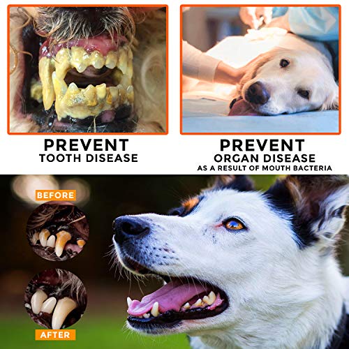 Dog Toothpaste and Toothbrush Set REMOVES FOOD DEBRIS Double Si...