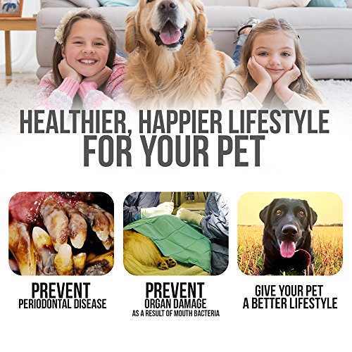 Dog Toothpaste and Toothbrush Set REMOVES FOOD DEBRIS Double Si...