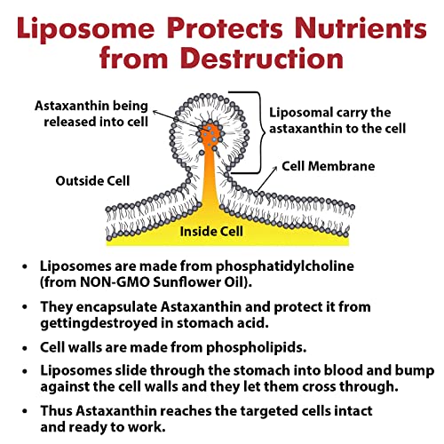 Liposomal Astaxanthin Supplement 24MG, Maximum Absorption, Antiox...