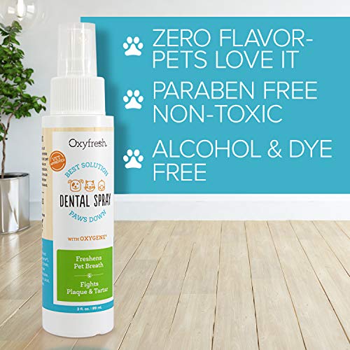 Oxyfresh Premium Pet Dental Care Solution Pet Dental Spray: Best ...