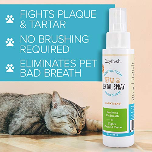 Oxyfresh Premium Pet Dental Care Solution Pet Dental Spray: Best ...