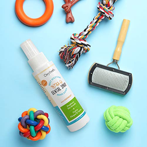 Oxyfresh Premium Pet Dental Care Solution Pet Dental Spray: Best ...