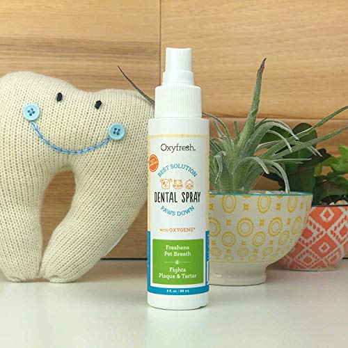 Oxyfresh Premium Pet Dental Care Solution Pet Dental Spray: Best ...