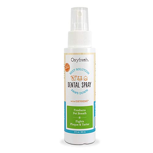 Oxyfresh Premium Pet Dental Care Solution Pet Dental Spray: Best ...