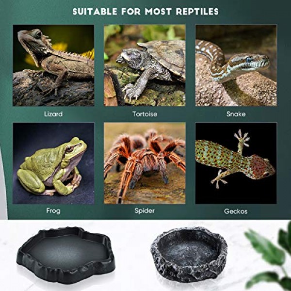 3 Pieces Reptile Water Dish Food Bowl Set Includes 2 Resin Reptil...