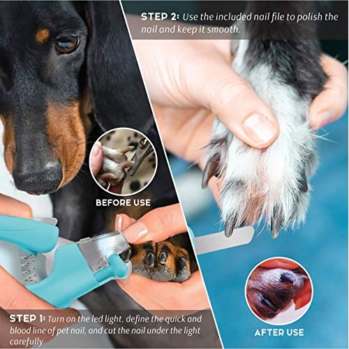Pawcute Pet Nail Clippers, Dog & Cat Pets Nail Trimmer with Led L...