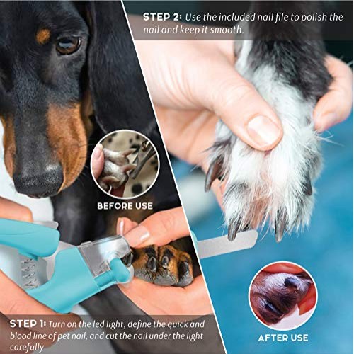 Pawcute Pet Nail Clippers, Dog & Cat Pets Nail Trimmer with Led L...