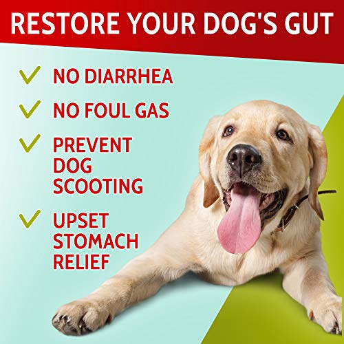 PAWFECTCHEW_ Probiotics for Dogs - 120 Advanced Allergy Relief Do...