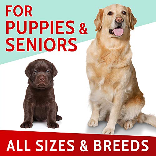 PAWFECTCHEW_ Probiotics for Dogs - 120 Advanced Allergy Relief Do...