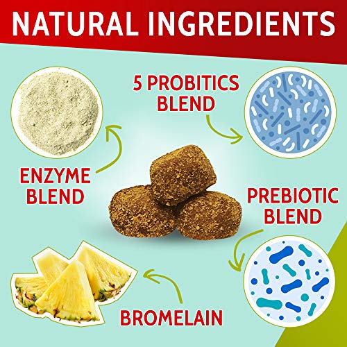 PAWFECTCHEW_ Probiotics for Dogs - 120 Advanced Allergy Relief Do...