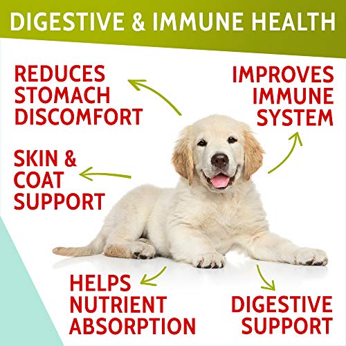 PAWFECTCHEW_ Probiotics for Dogs - 120 Advanced Allergy Relief Do...