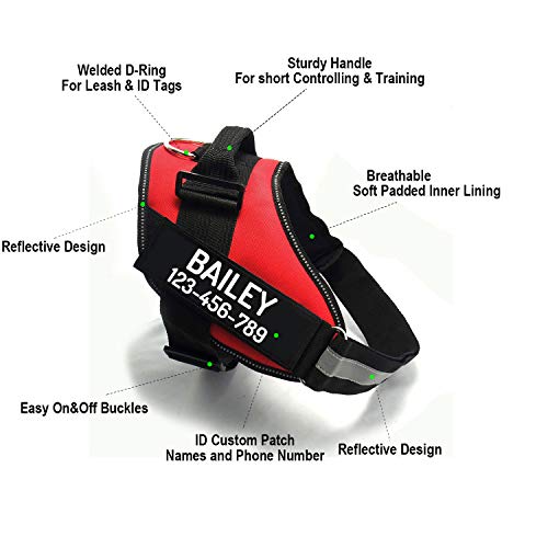PawPawify Custom No Pull Dog Harness with Name and Phone Number, ...