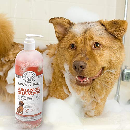 Dog Argan Shampoo-Conditioner - 20oz Clinical Vet Formula Wash Fo...