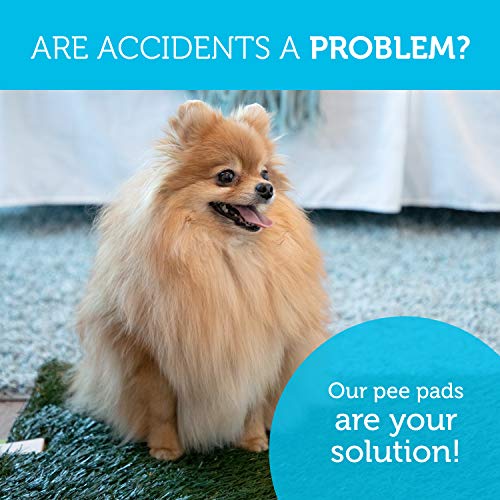 Dog Grass Pee Pad Potty - Artificial Grass Patch for Dogs - Pet L...