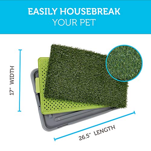 Dog Grass Pee Pad Potty - Artificial Grass Patch for Dogs - Pet L...