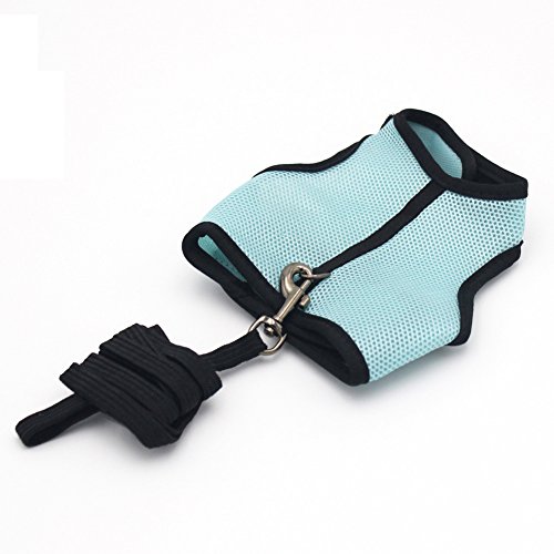 pawstrip Harness with Leash for Rabbits Rats and Guinea Pigs,Smal...