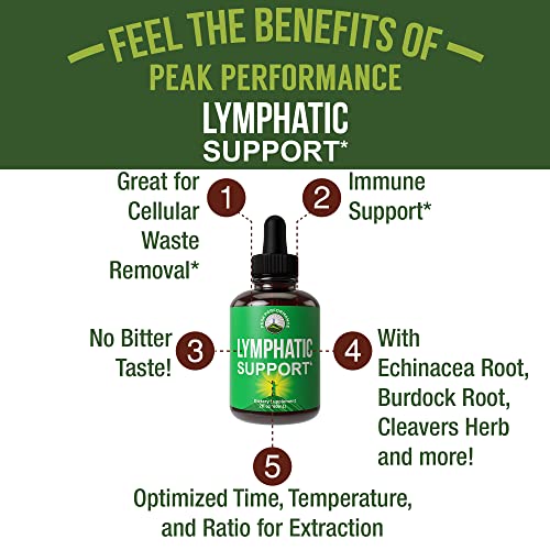 Lymphatic Drainage Drops. Sugar Free 7-in-1 Lymph Detox And Clean...