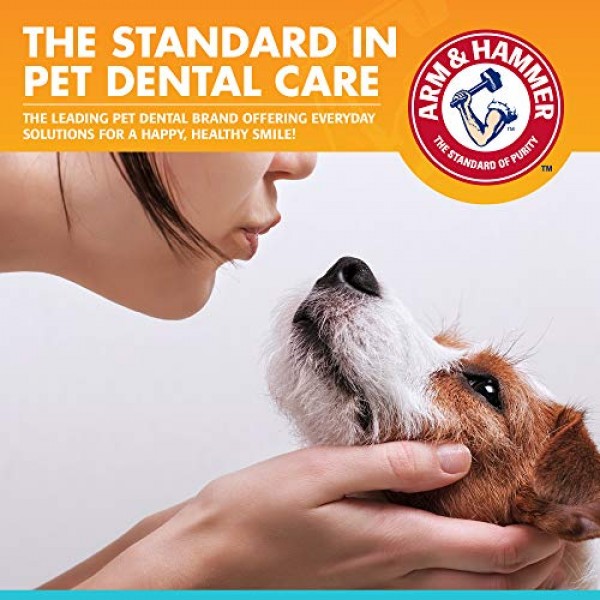 Arm & Hammer Dog Dental Care Fresh Breath Enzymatic Toothpaste fo...
