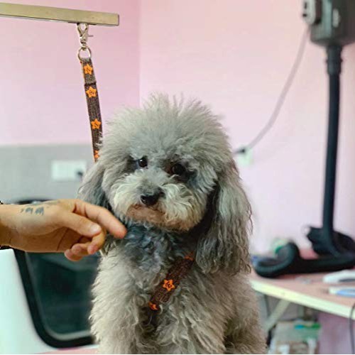 Pet Bathing Tether Straps,Pet Grooming Loops,Durable Nylon Adjust...