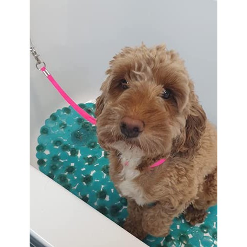 Pet Dog Grooming Loop, Nylon Restraint Noose Adjustable Fixed Dog...
