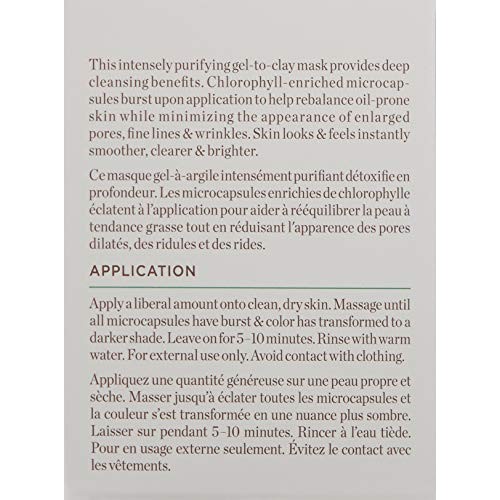 Perricone MD Chorophyll Detox Mask, 2 oz.